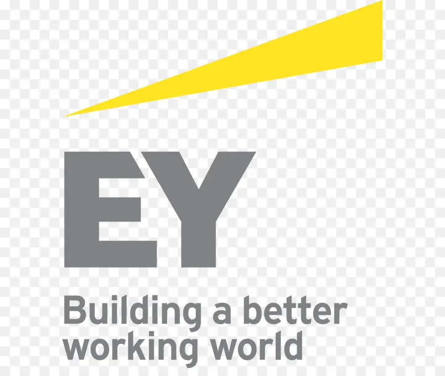 Ernst Young，Contabilidad PNG