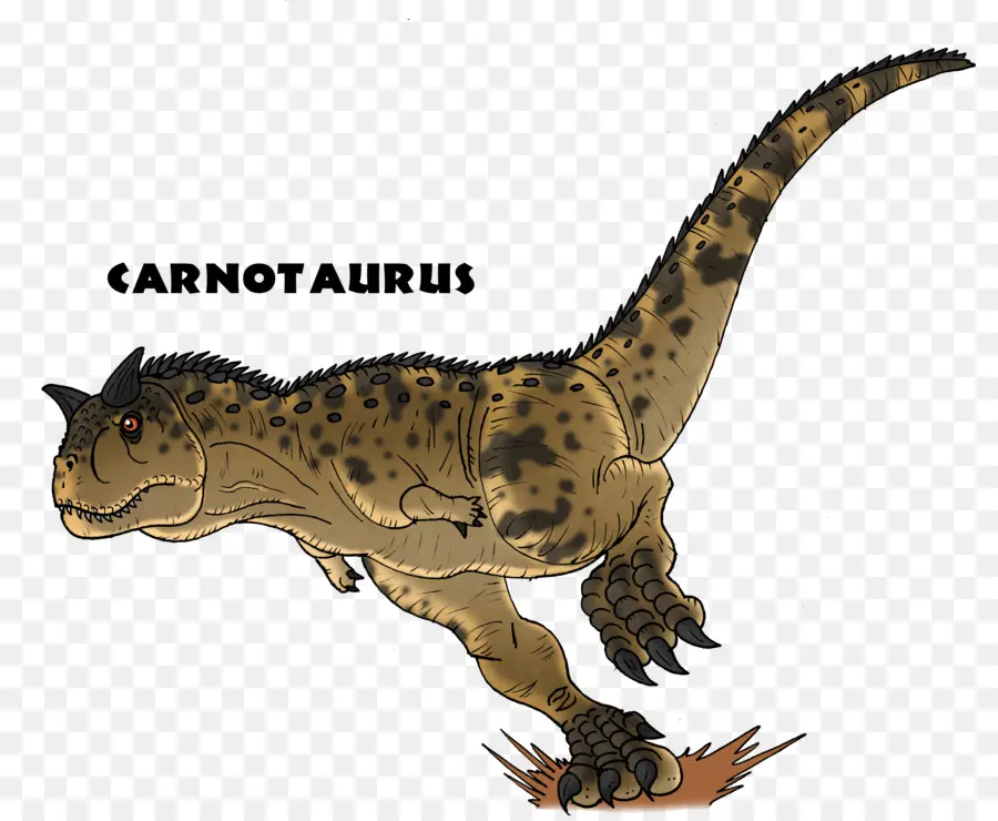 Carnotauro，Prehistórico PNG