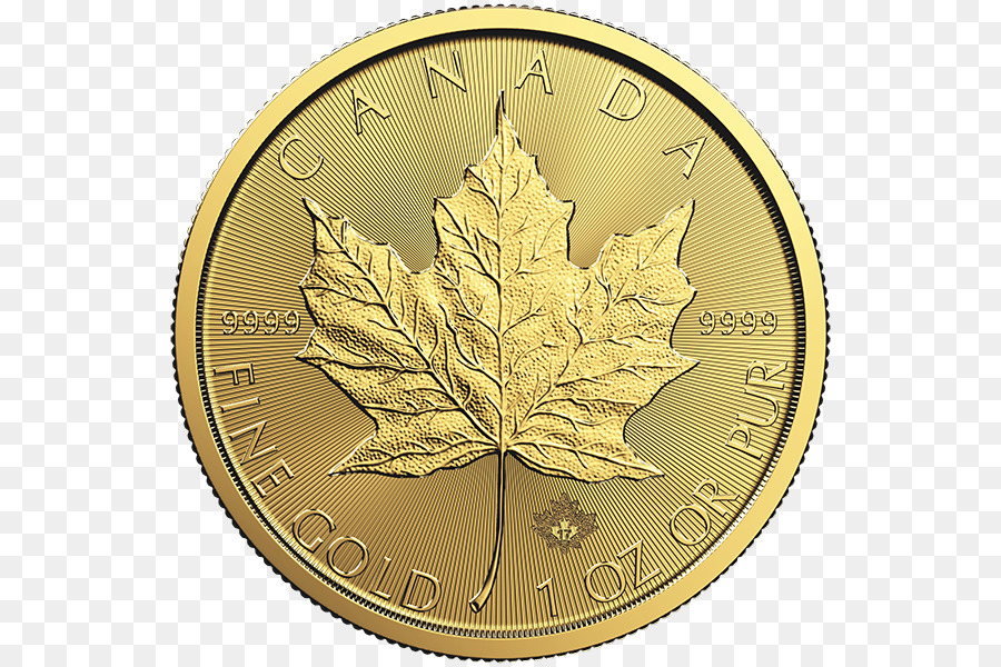 Moneda De Oro，Canadá PNG