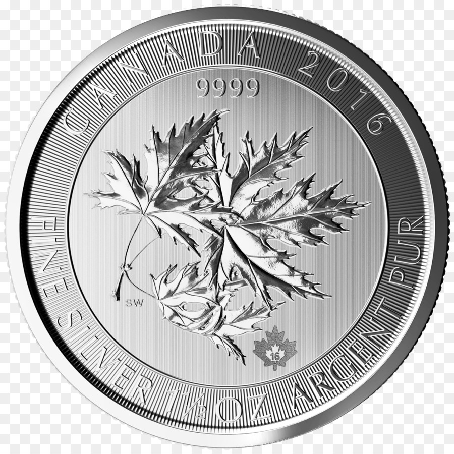 Moneda，Moneda De Plata PNG