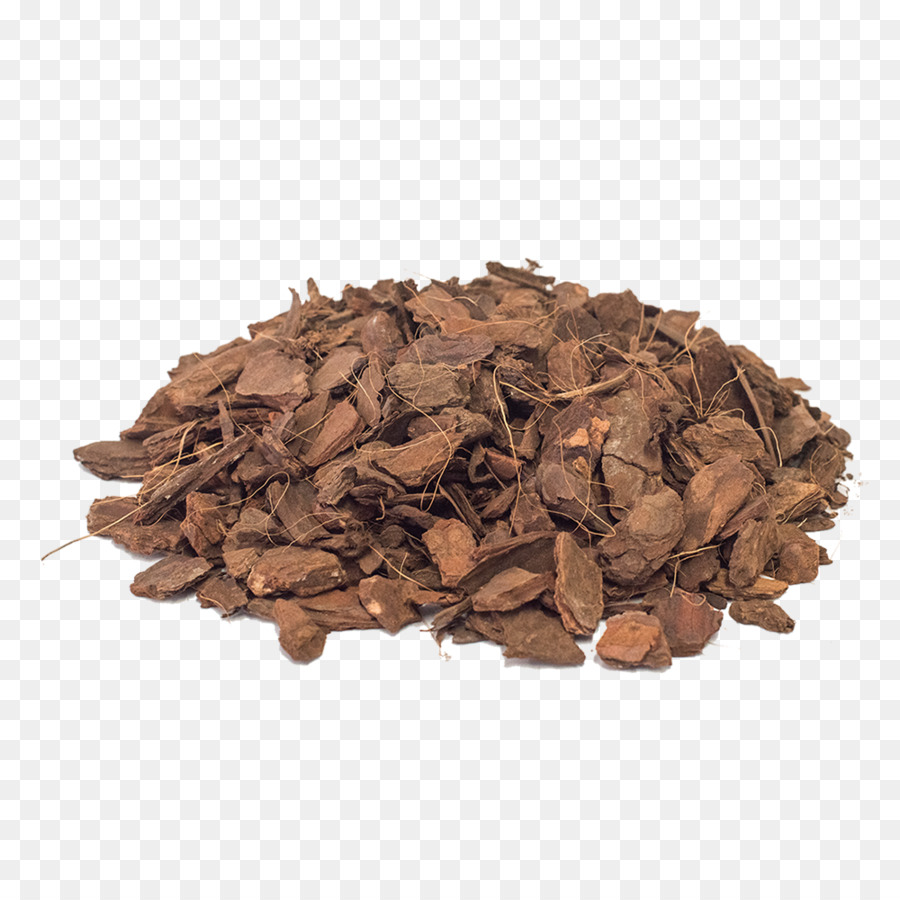 Hojicha，Grano De Cacao PNG