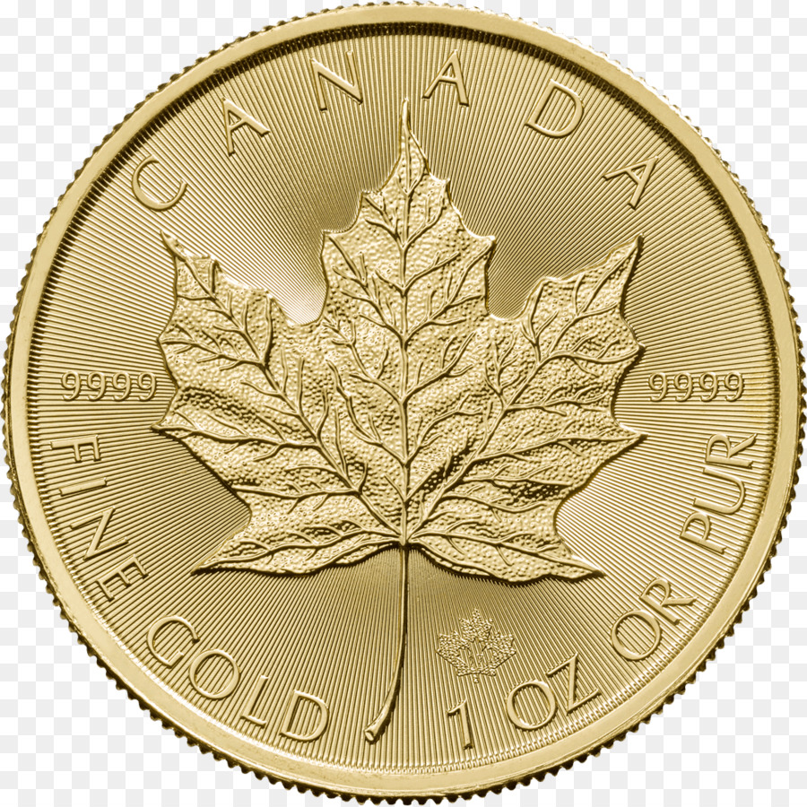 Moneda De Oro，Canadá PNG