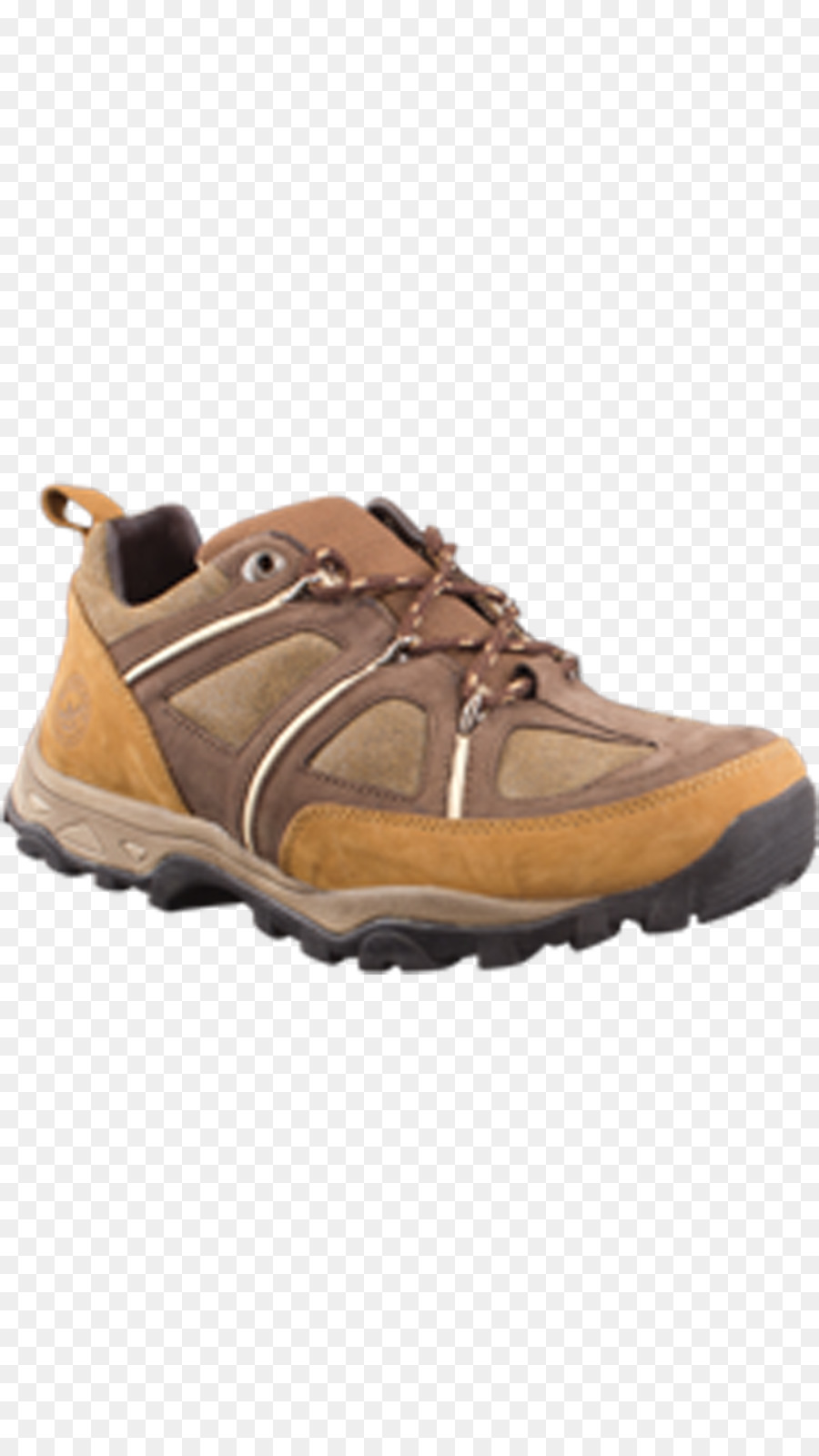 Gamuza，Zapato PNG