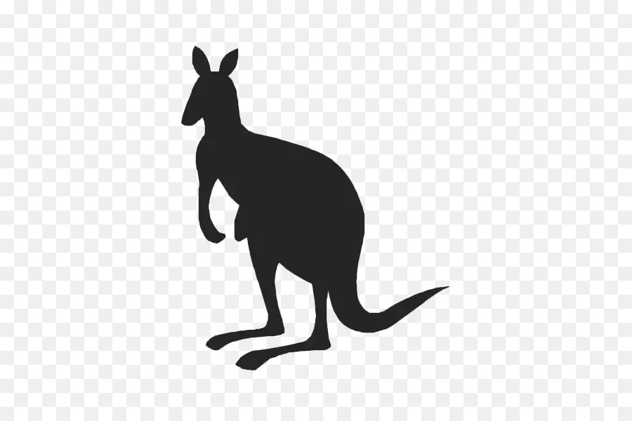 Canguro，Marsupial PNG