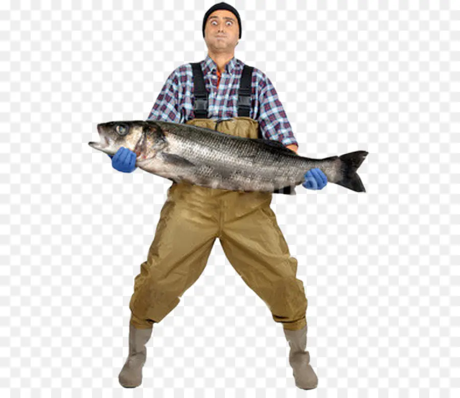 La Pesca，Pescador PNG