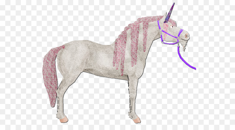 Caballo Colorido，Caballo PNG