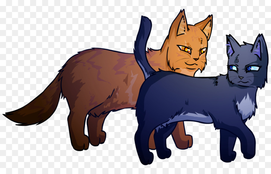 Dos Gatos，Felino PNG