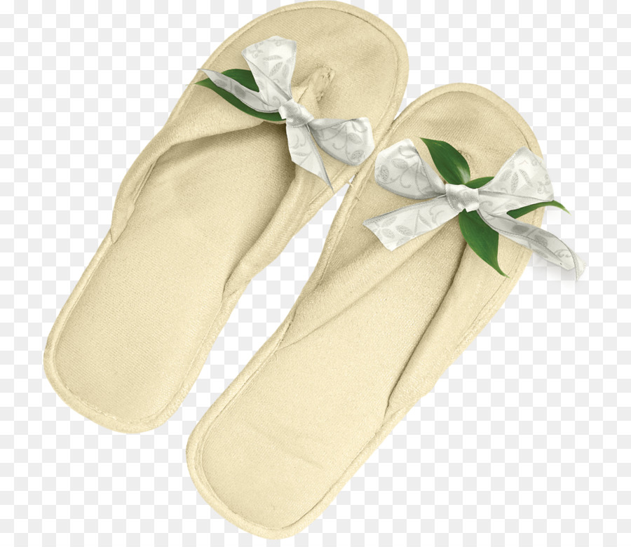 Flipflops，Zapatilla PNG