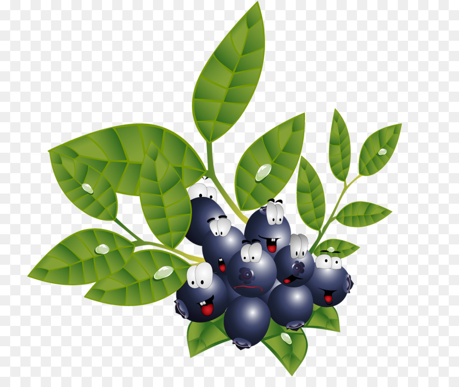 El Arándano，Huckleberry PNG