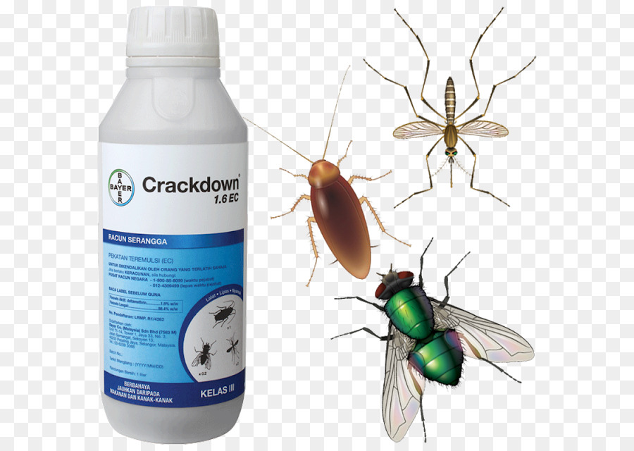 Represión，Insecticida PNG