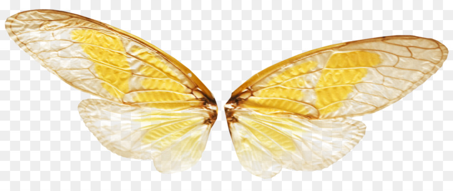 La Transparencia Y Translucidez，Mariposa PNG