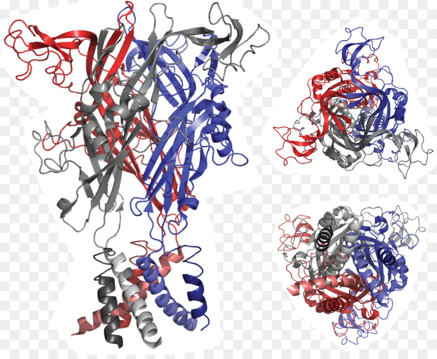 P2x Purinoreceptor，Receptor PNG