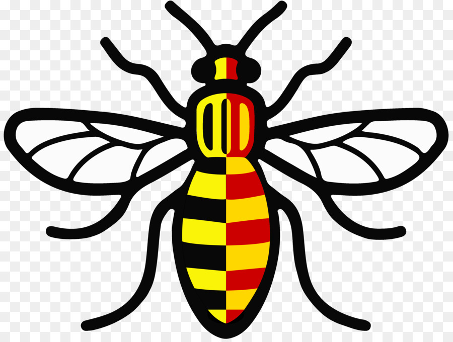 Abeja，Abeja Obrera PNG