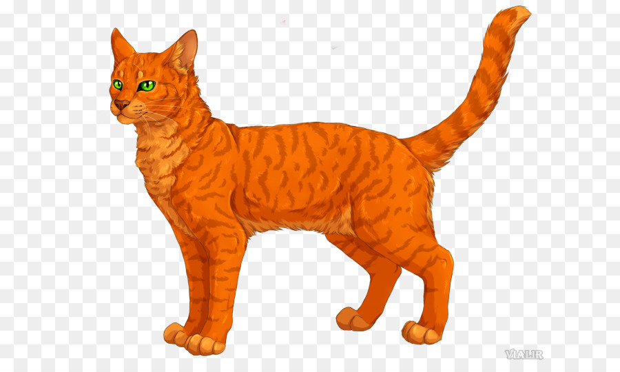 Gato，Mascota PNG