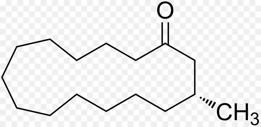 Estructura Química，Molécula PNG