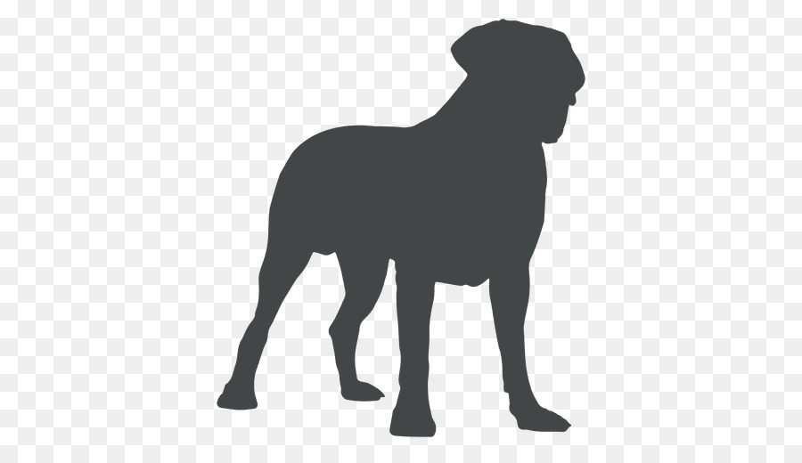 Raza De Perro，Cachorro PNG