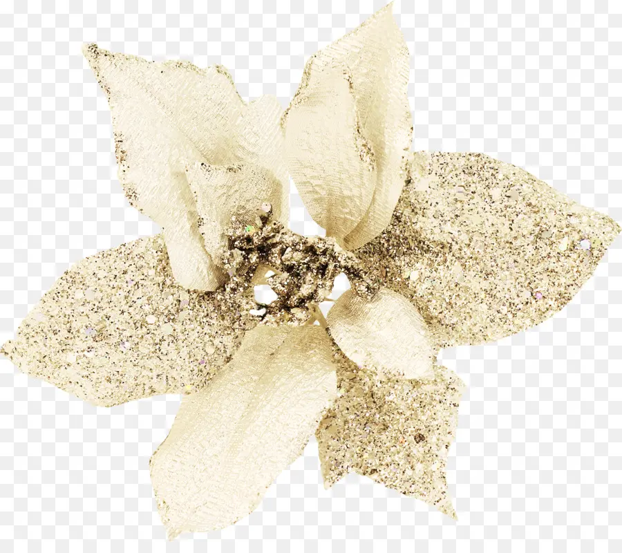 Flor De Oro，Flor PNG