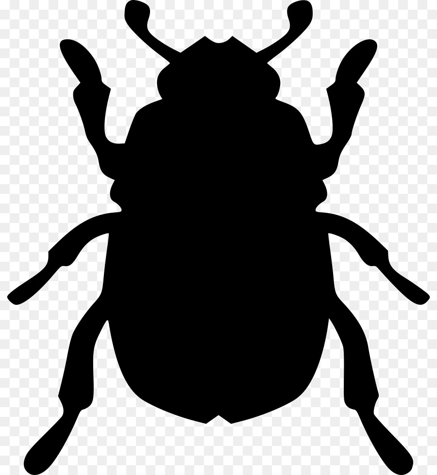 Escarabajo，Biología PNG