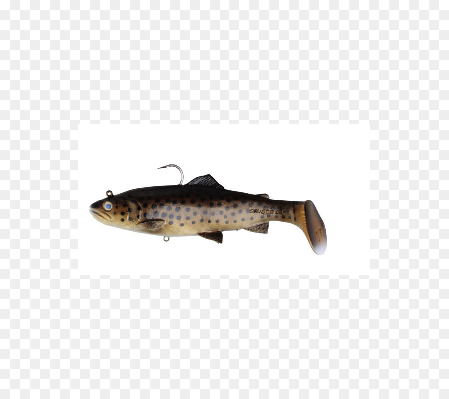 Los Cebos De Pesca Señuelos，La Trucha PNG