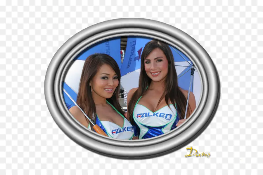 Modelos Falken，Promocional PNG