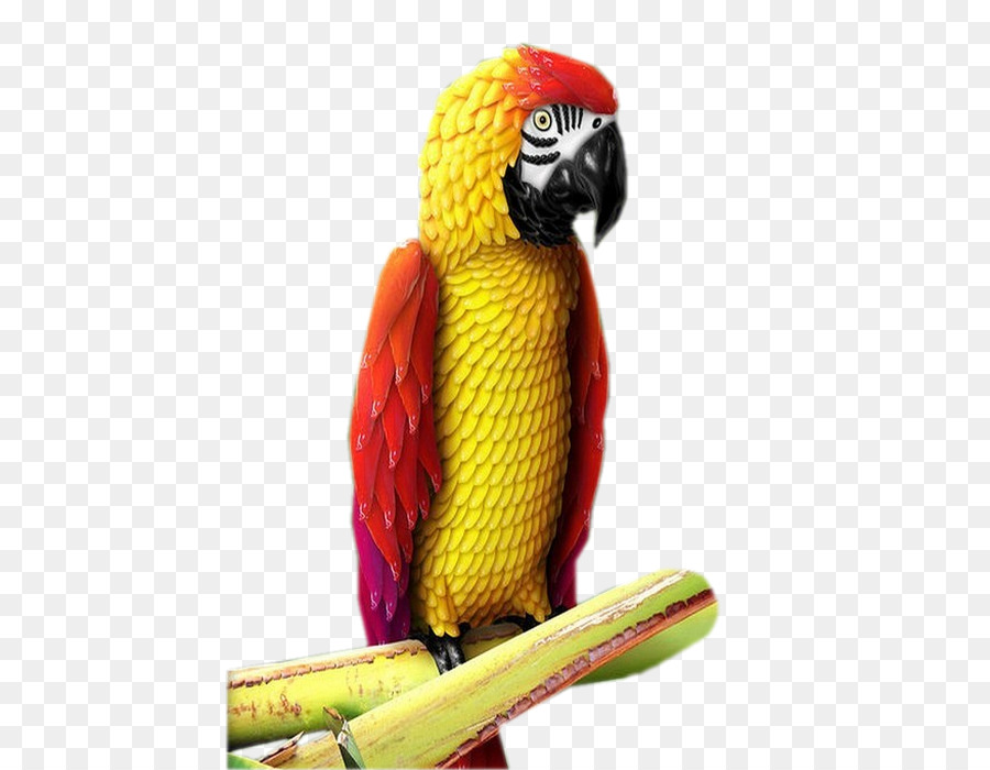 Pájaro，Guacamayo PNG