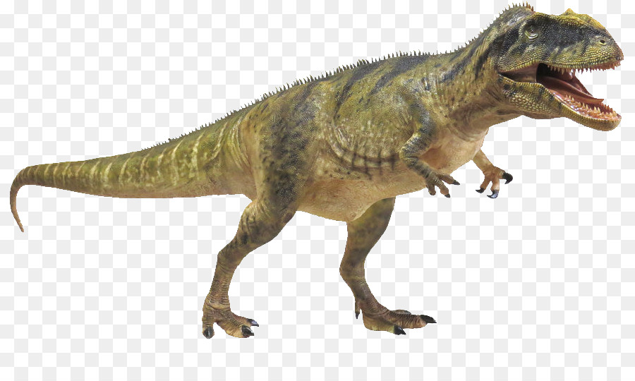 Tyrannosaurus，Velociraptor PNG