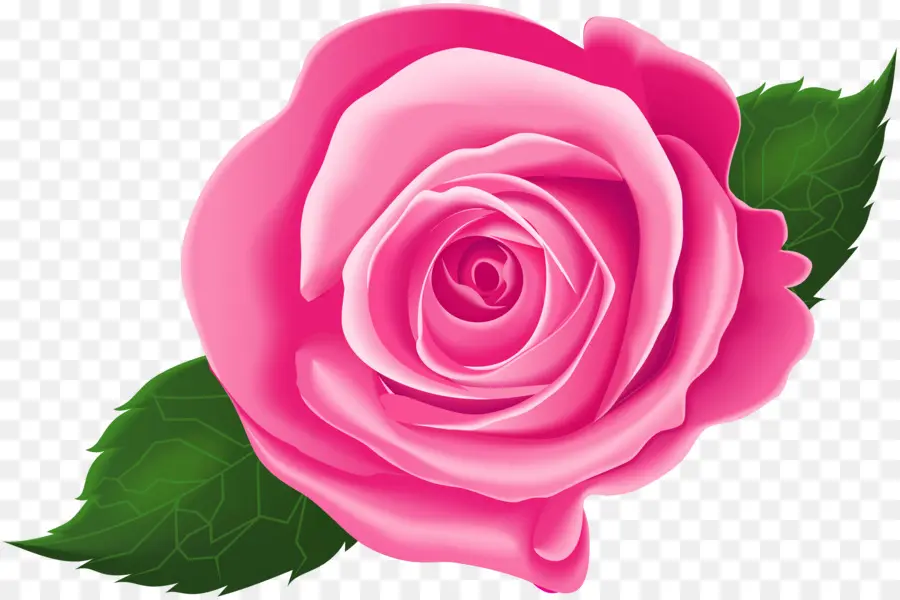 Corazón Rosa，Amar PNG