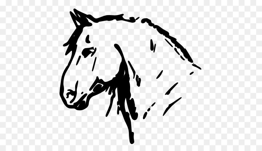 Cabeza De Caballo，Bosquejo PNG