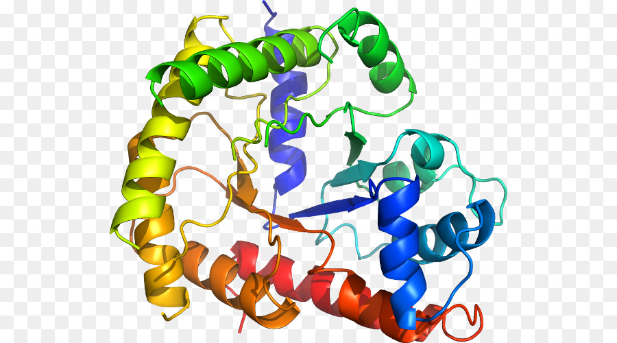 Estructura De Proteína Colorida，Proteína PNG