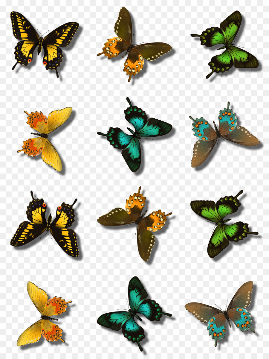 La Mariposa Monarca，Paintshop Pro PNG