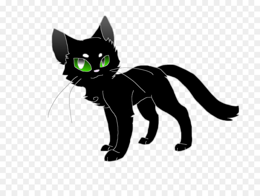 Gato Negro，Animal PNG