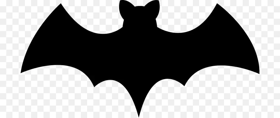 Bat，Silueta PNG