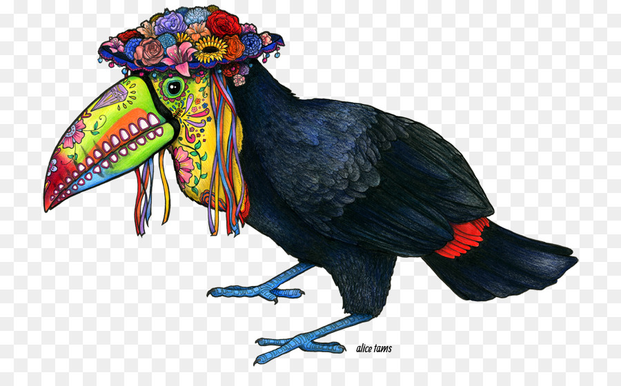 Pájaro，Keel Facturó A Toucan PNG