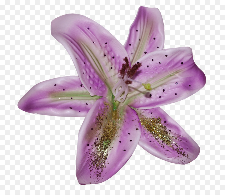 Flor，Azul PNG