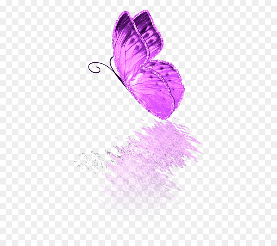 Mariposa，2m PNG