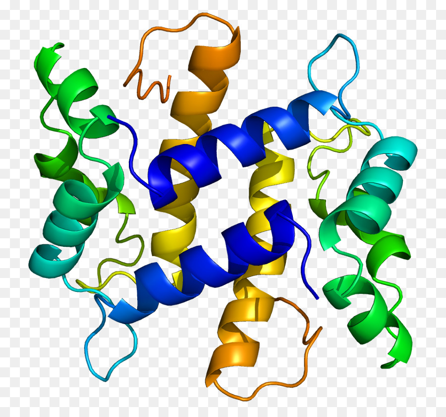 S100a7，Los Péptidos Antimicrobianos PNG