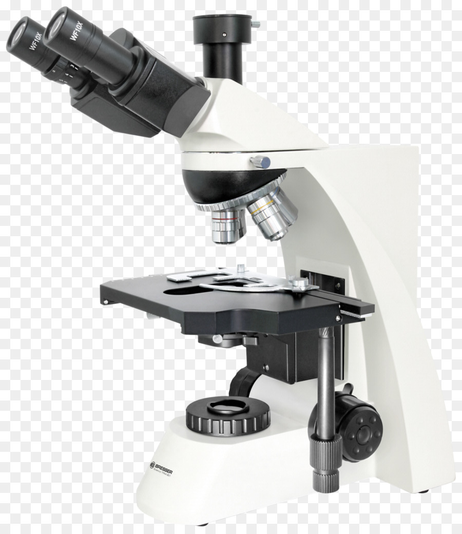 Microscopio，La Ciencia PNG