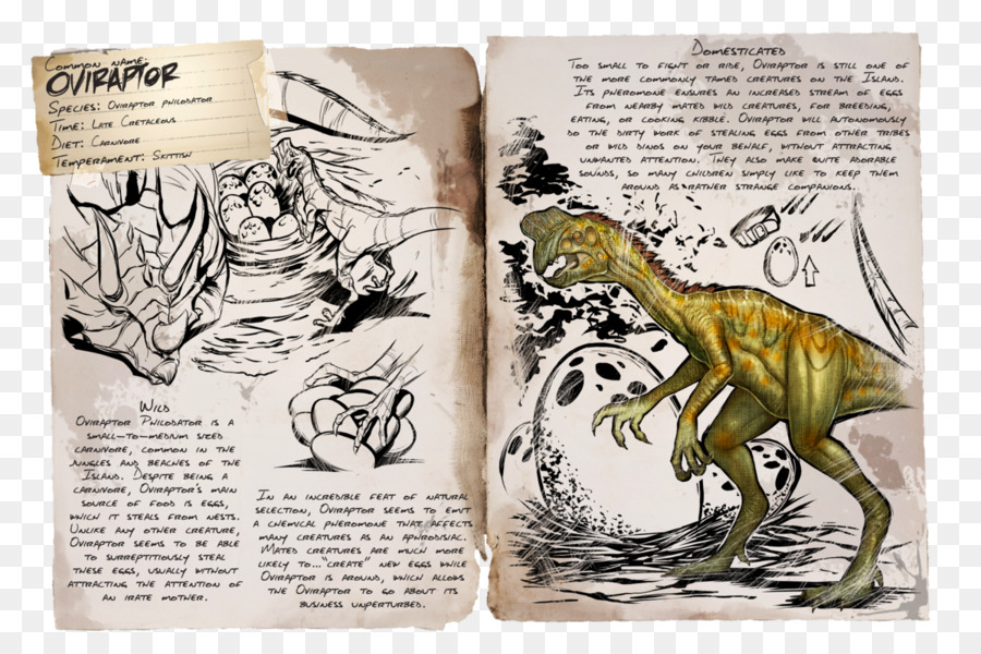 Arca De Supervivencia Evolucionado，Oviraptor PNG