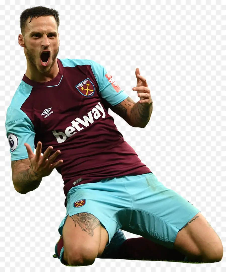 Marko Arnautović，Jugador De Fútbol PNG