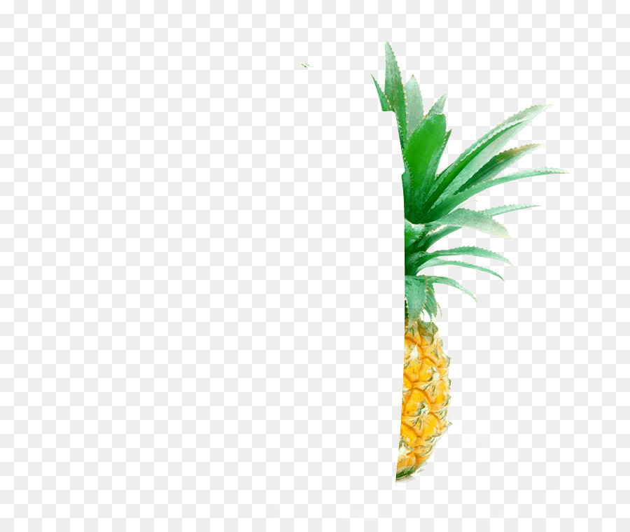 Piña，Maceta PNG