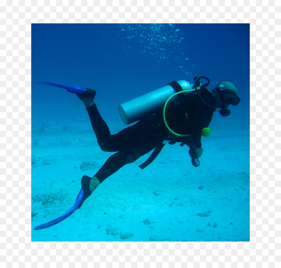 Buceo，El Buceo PNG