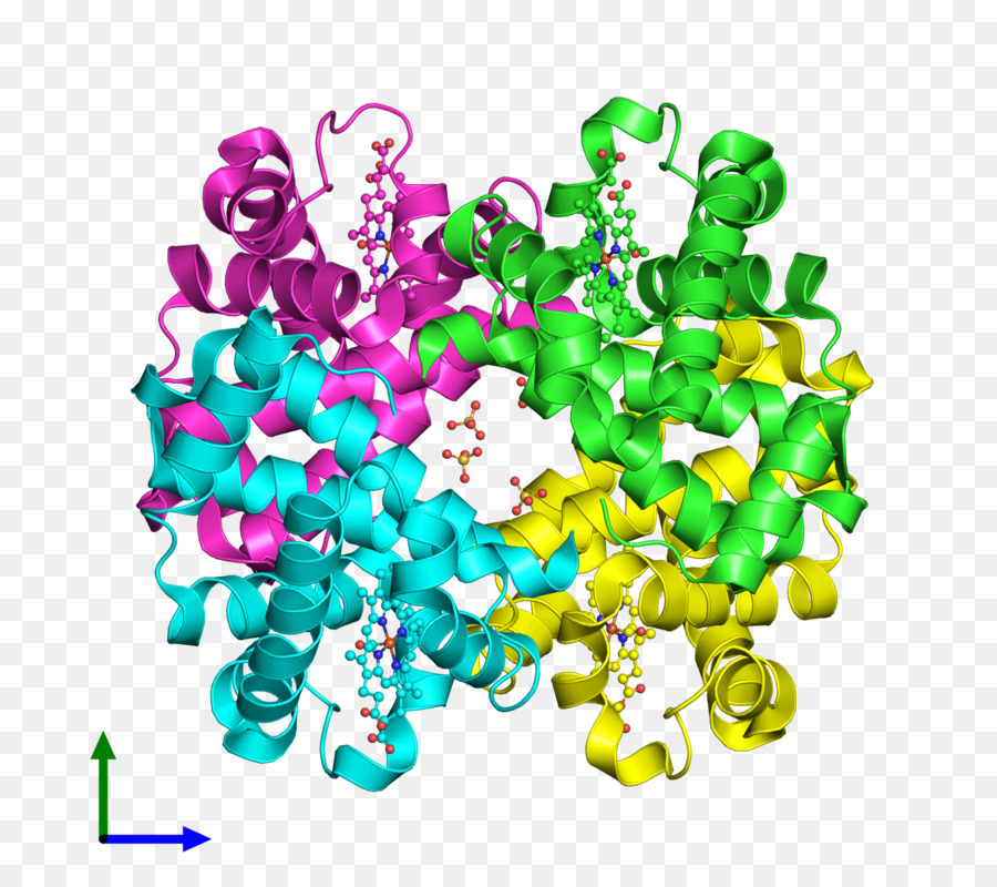 Cordón，El Cuerpo De La Joyería PNG