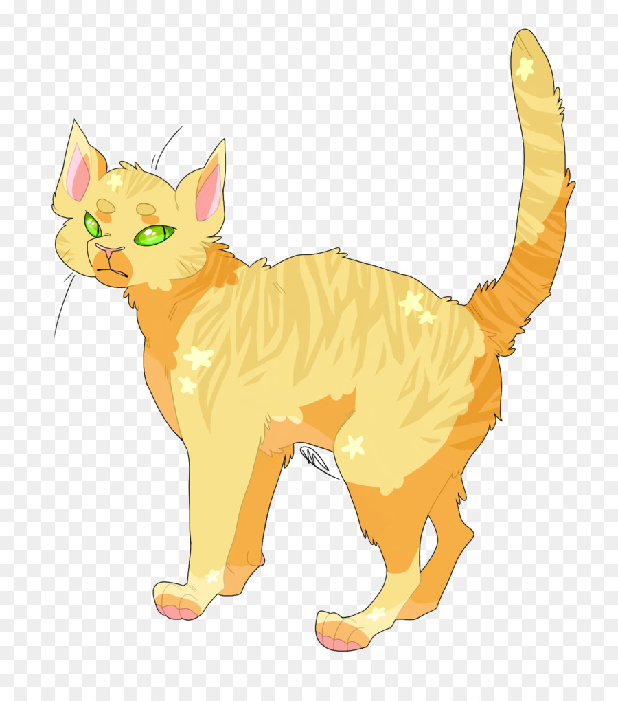 Gato De Dibujos Animados，Mascota PNG