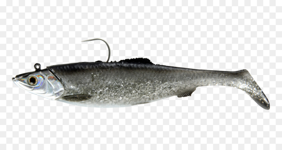 Sardina，Sábalo Americano PNG