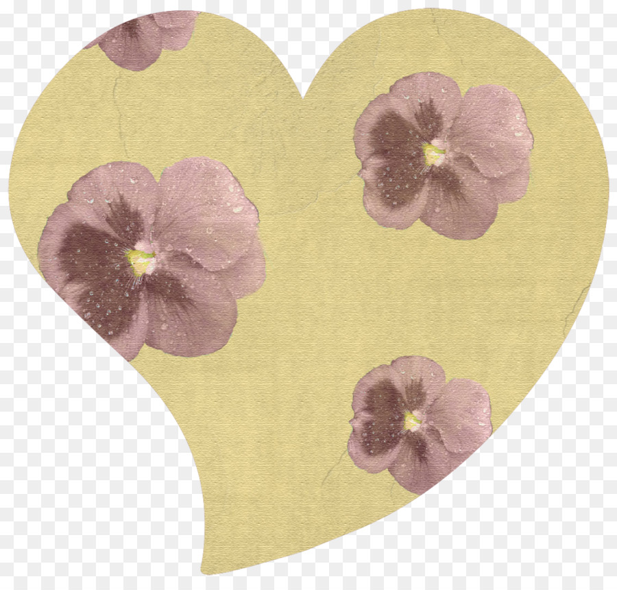 Pansy，Megabytes PNG