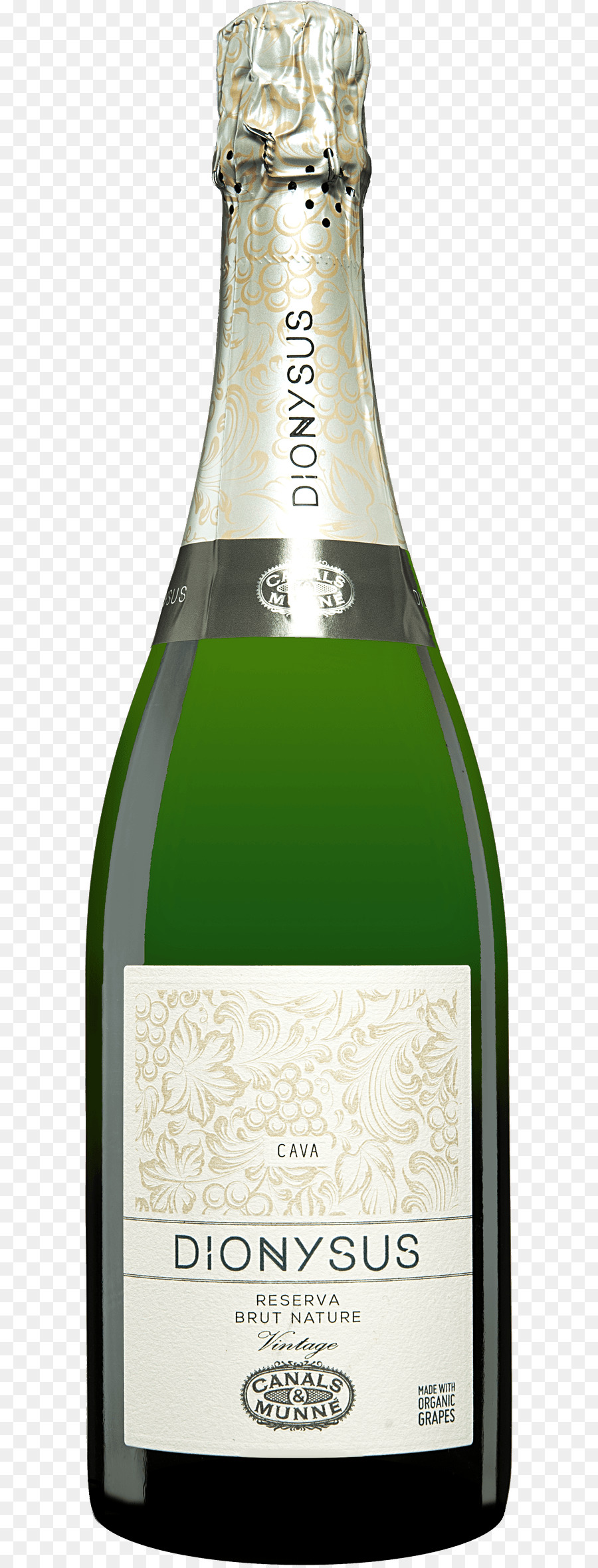 Champagne，Vino PNG