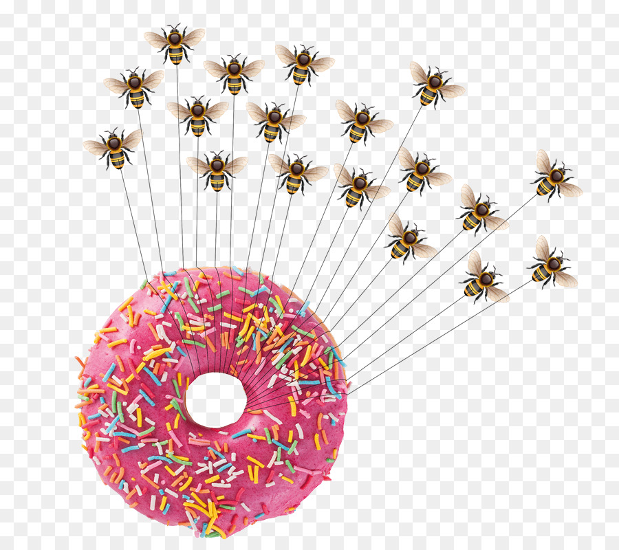 Donuts，Beignet PNG