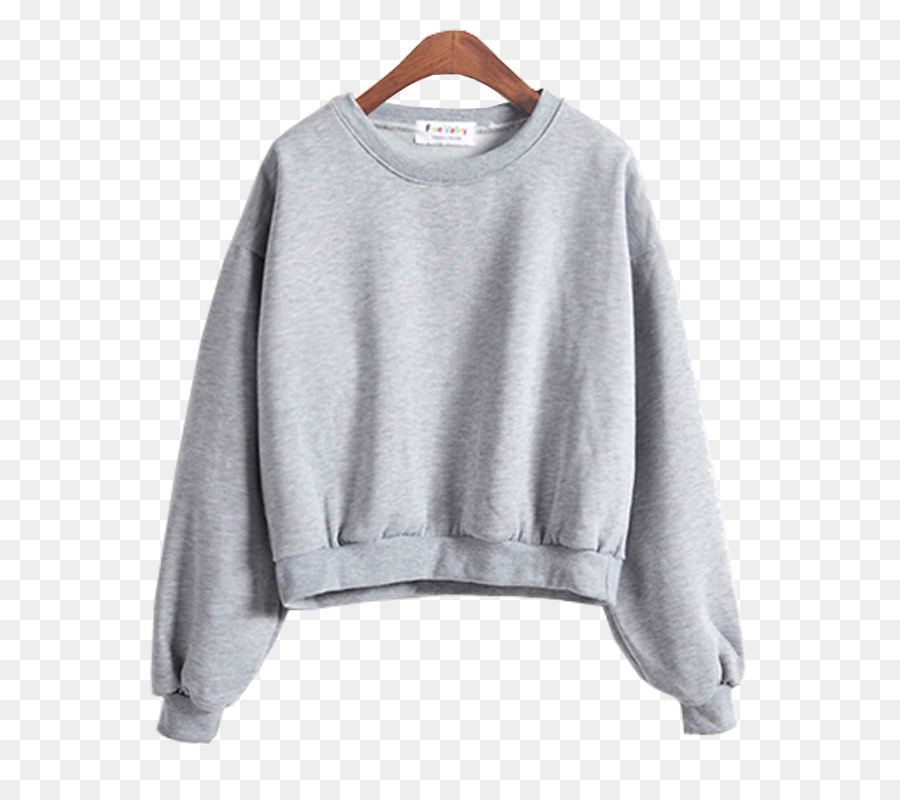 Sudadera Con Capucha，Manga PNG