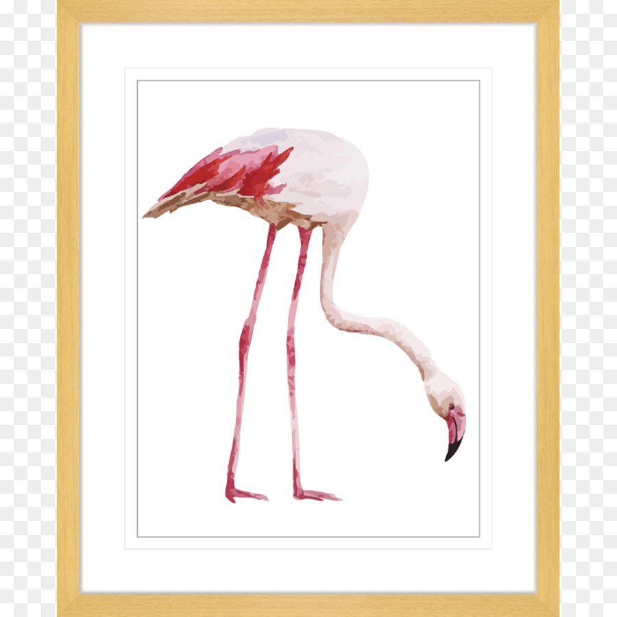 Flamingo，Fondo De Escritorio PNG