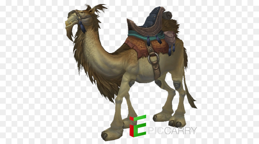 Dromedario，Caballo PNG